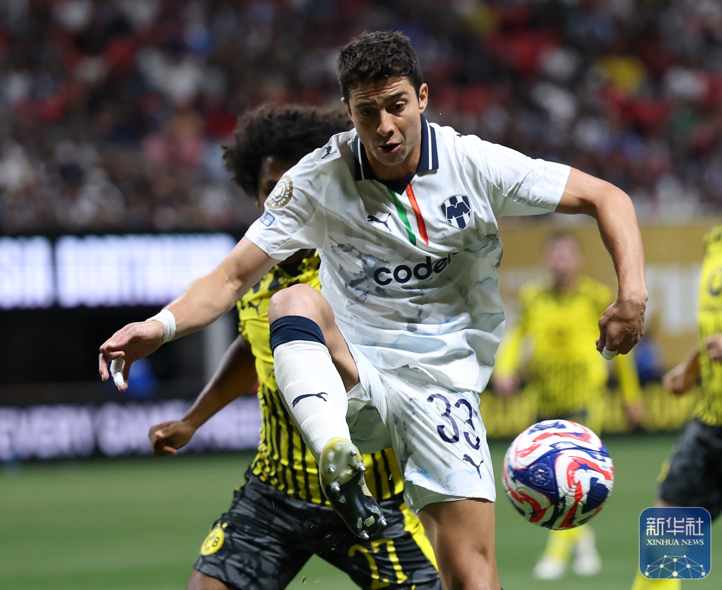 kaiyun-多特蒙德主教练一览表