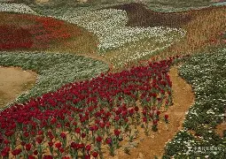 开云体育官网-关于9枛j椞?柡Sz5?颎xQ麰